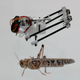 Illustration for article titled This Locust Robot Jumps 11 Feet High and Could Scour Disaster Zones